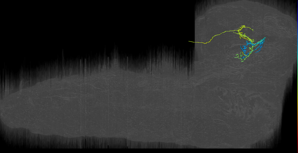MB2ON-259 (L1EM:15770140)