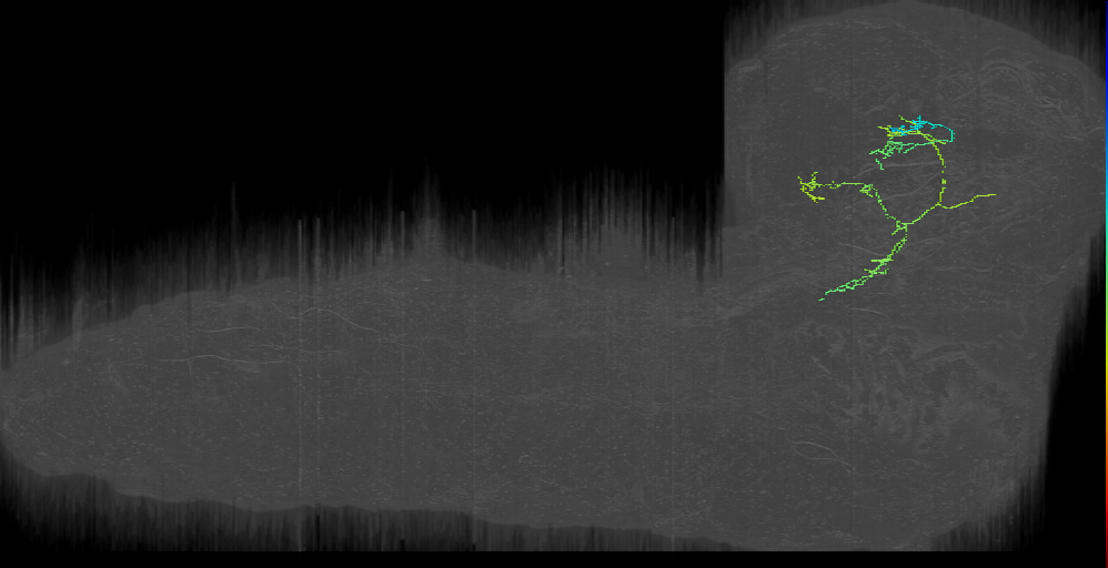 LX_left (L1EM:15792643)