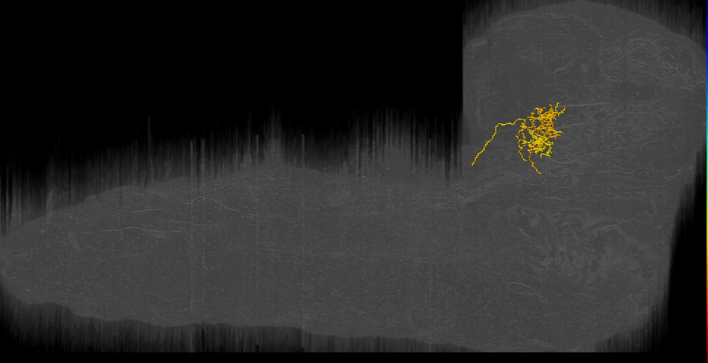 MIXED local left (L1EM:16059134)