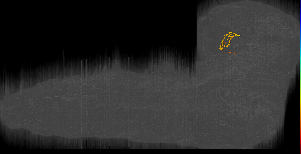 BLAv12 2 left (L1EM:16141217)