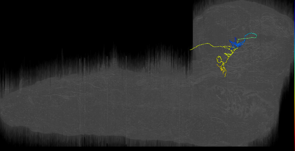 Tel10 (L1EM:16356967)