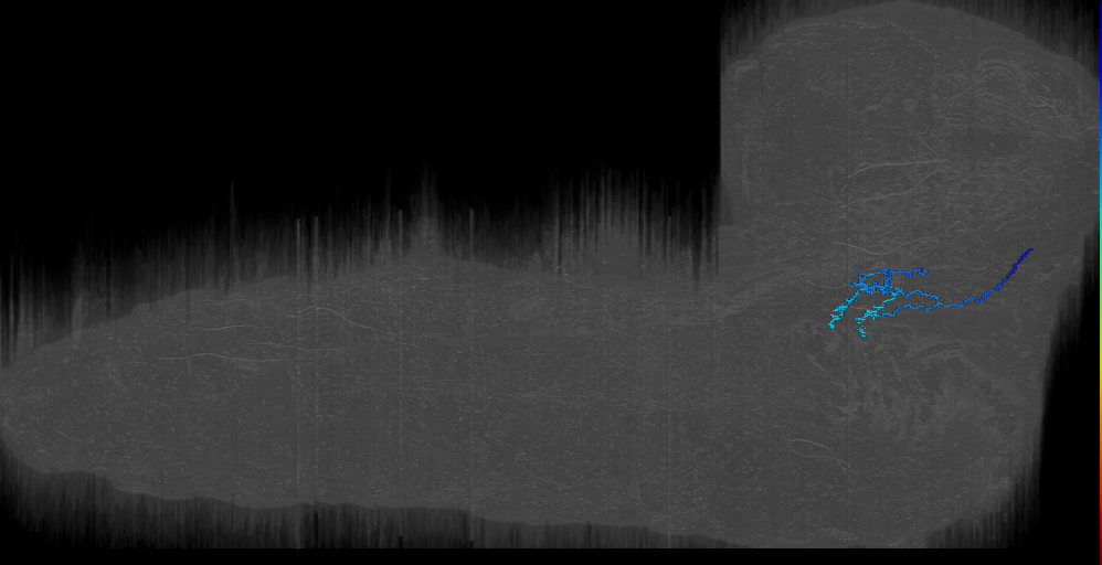 KS LN 4a right (L1EM:16393165)