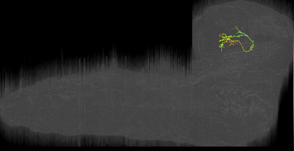 BLAl_I-X 2 left (L1EM:16433696)