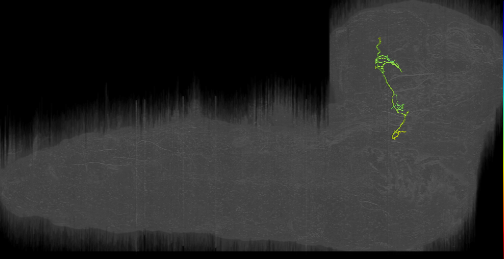 MB2ON-205 like left (L1EM:16444758)