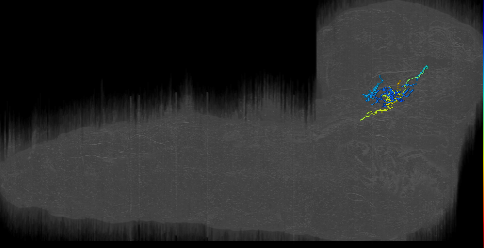 MB2IN-171 (L1EM:16561284)