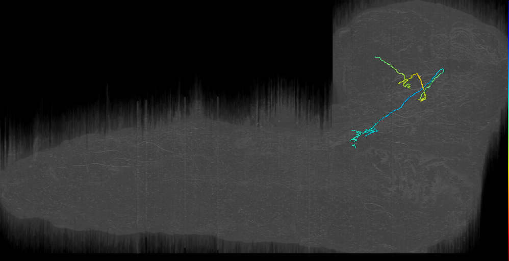 PVM21-like 2 left (L1EM:16713227)