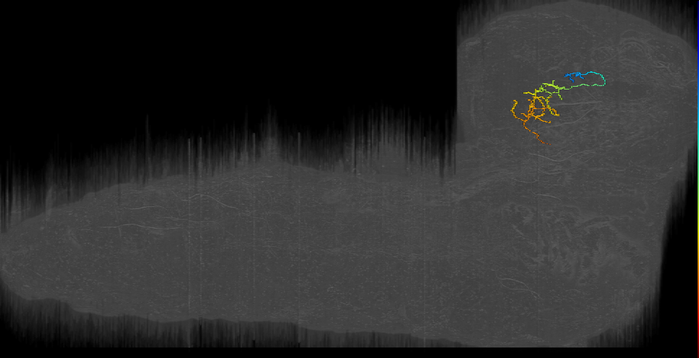 MB2IN-168 (L1EM:16799809)