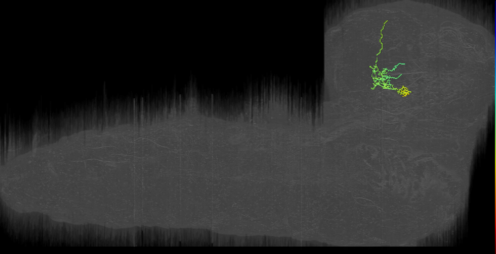 MB2IN-195 (L1EM:16851791)