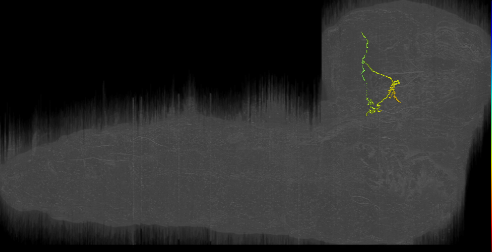UNK brancher 1 left (L1EM:16937395)