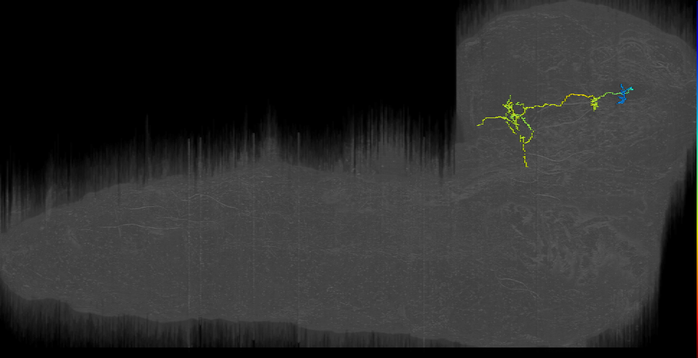 MB2ON-228 (L1EM:16985194)