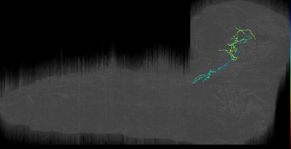 MB2IN-180 (L1EM:17087885)