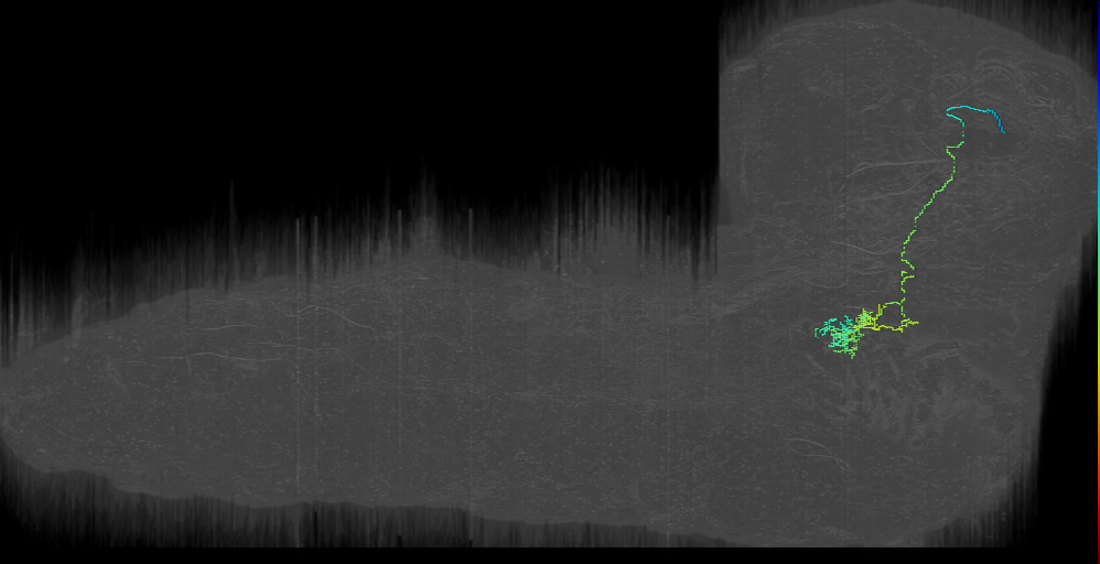 output to SEZ right (L1EM:17351780)