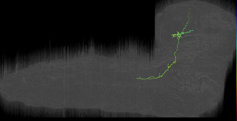 MIXED descending T left (L1EM:17354403)