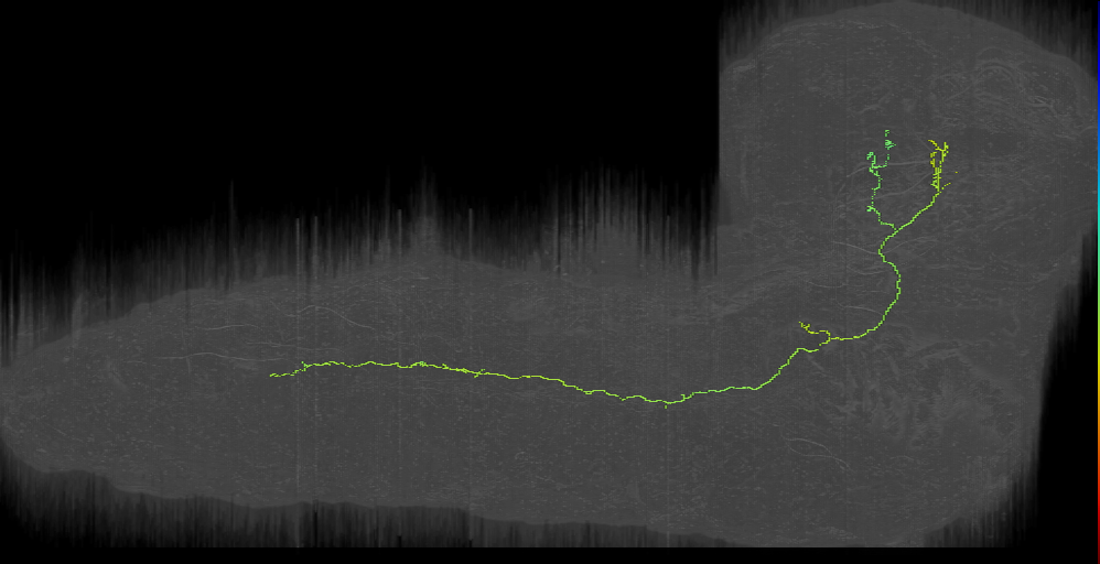 BAmd descending left (L1EM:17359501)