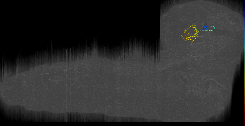MB2IN-169 (L1EM:17360010)