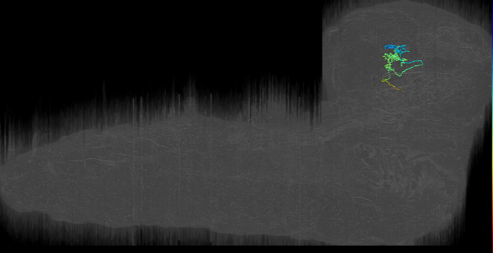 DALv1_PB4_left (L1EM:17360296)