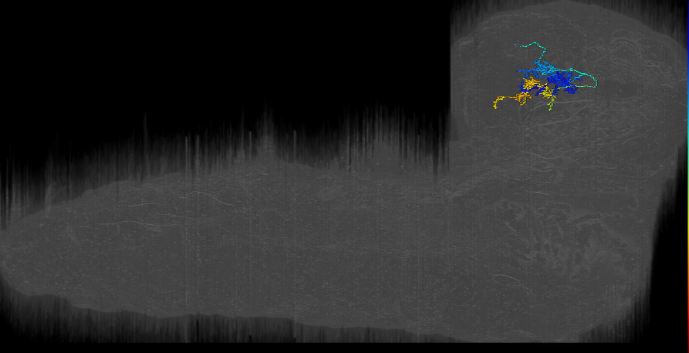 MB2ON-235 (L1EM:17379372)
