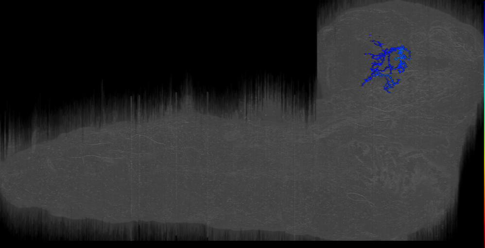 DPLl Gnarly right (L1EM:17380080)