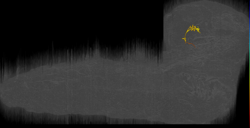 BLAv12 1 left (L1EM:17513284)