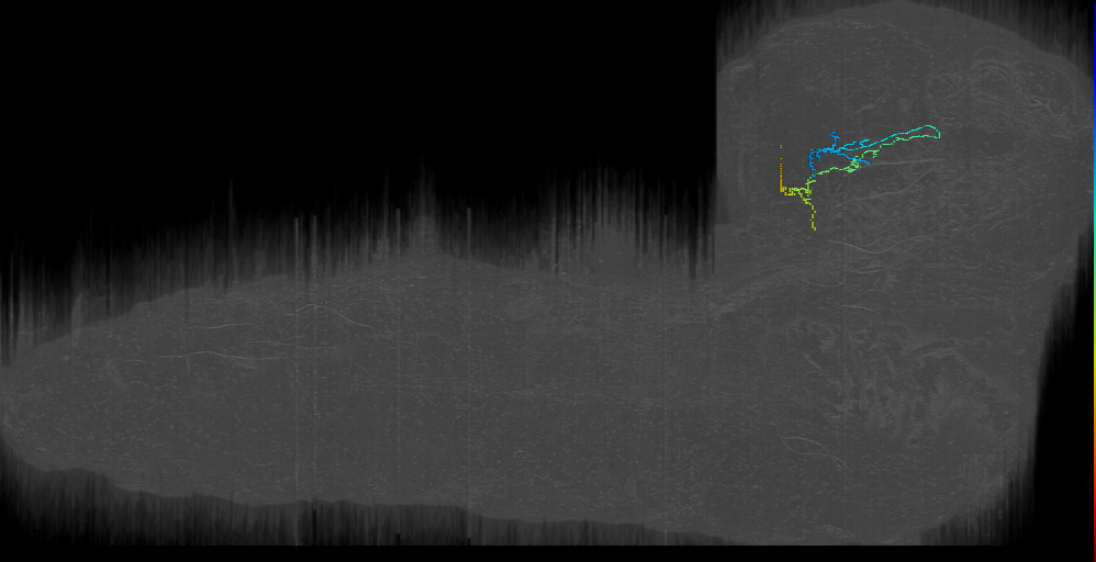 UNK horseshoe 2 left (L1EM:17746794)