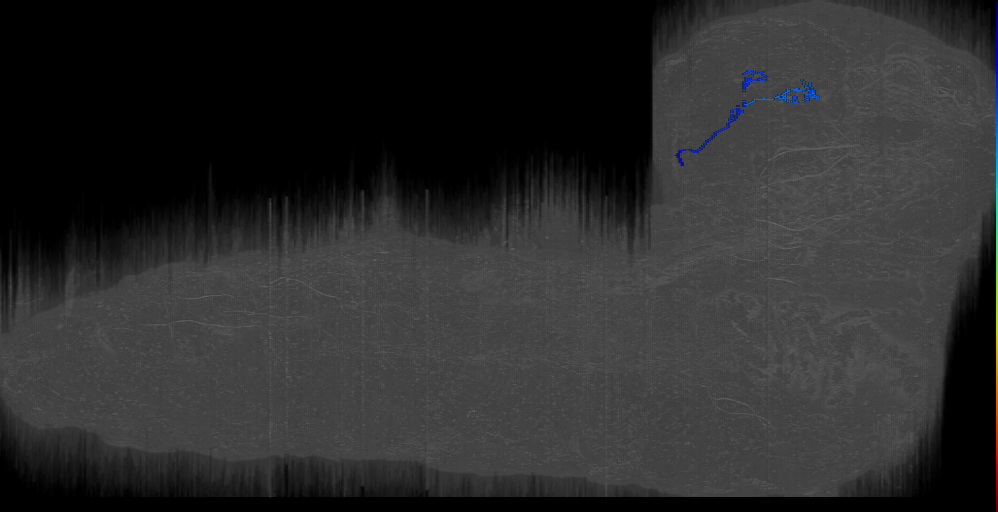 PPLV-1 right (L1EM:17913185)