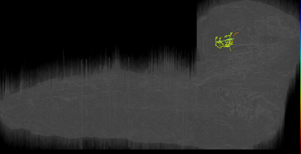 ASB B1 left 9 (L1EM:18566501)