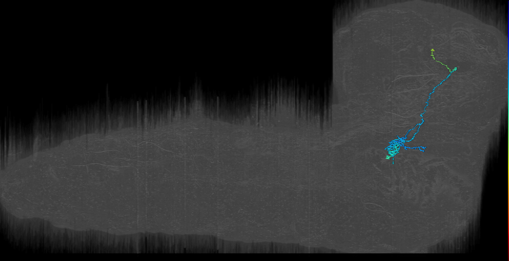 output to SEZ left (L1EM:19054481)