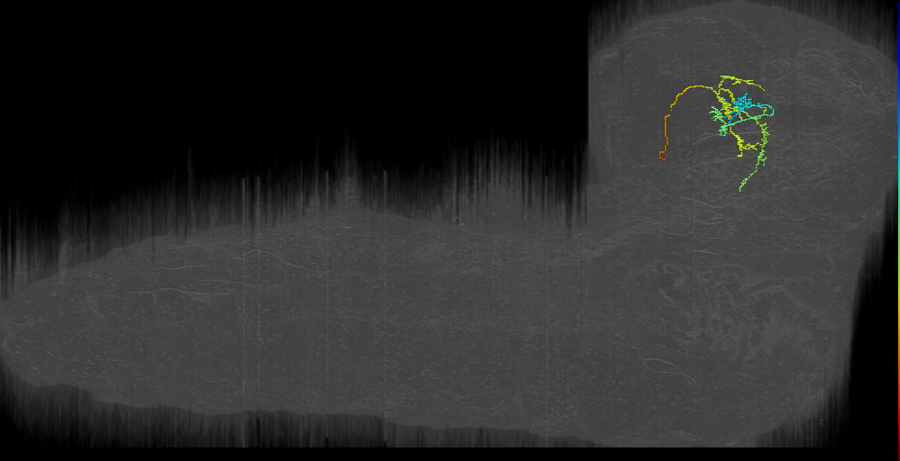 MB2ON-159 (L1EM:19088042)