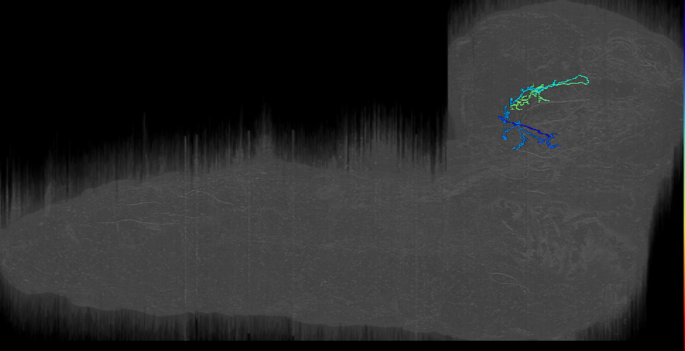 From Visual to CPM right (L1EM:19092010)