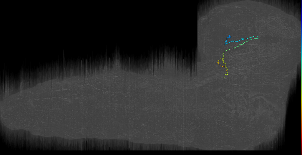 UNK horseshoe ventral left (L1EM:20316708)