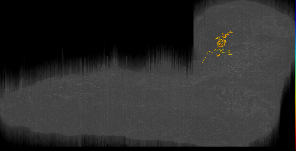 BLVa12 local brush left (L1EM:21133456)