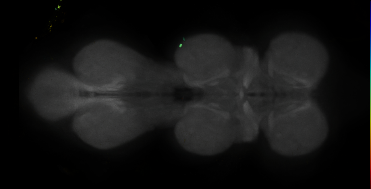 JRC_LH808_VNC_2020__1