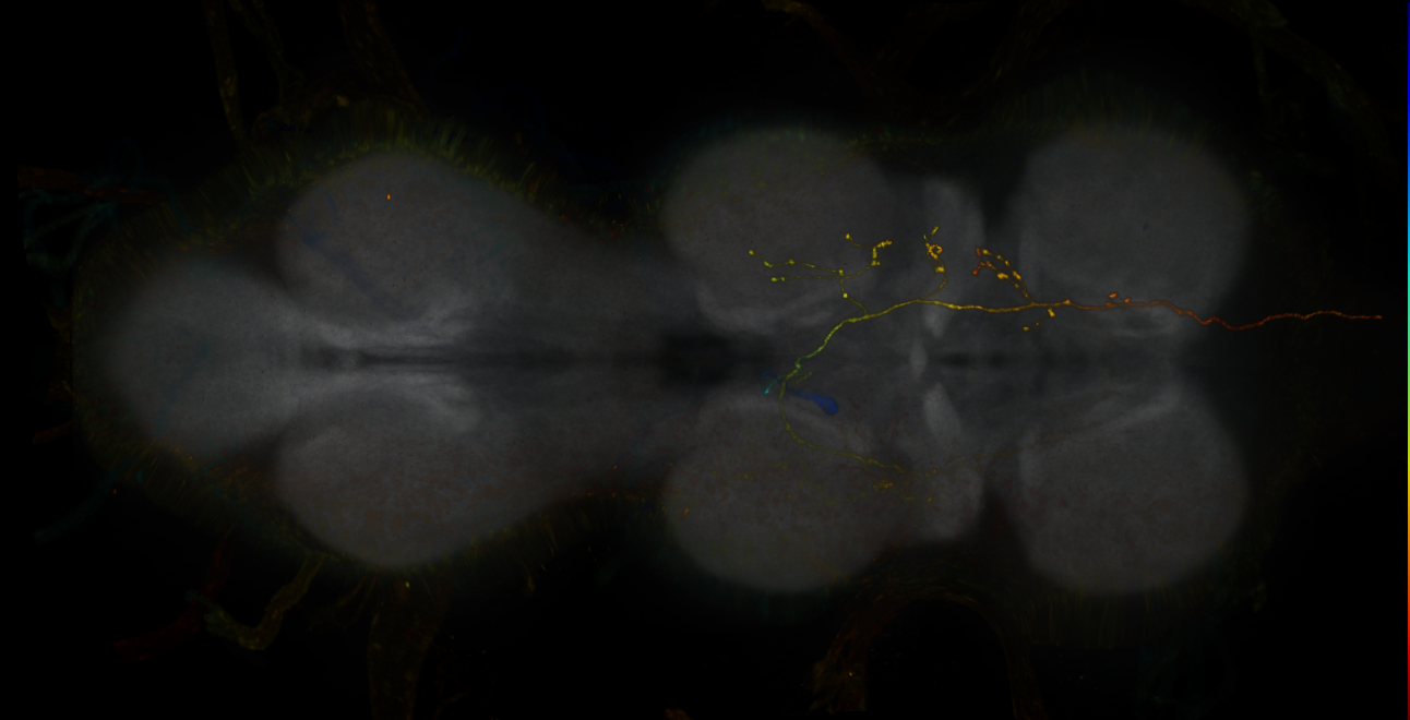 JRC_LH191_VNC_2020__1