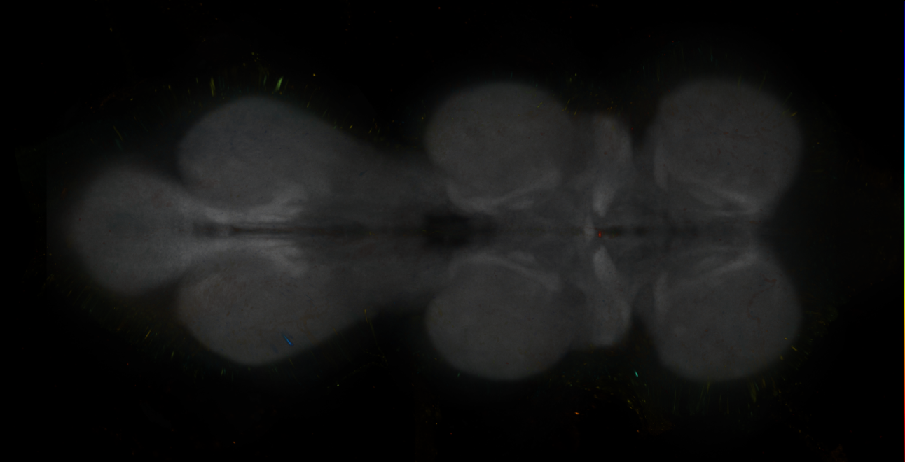 JRC_LH2094_VNC_2020__1