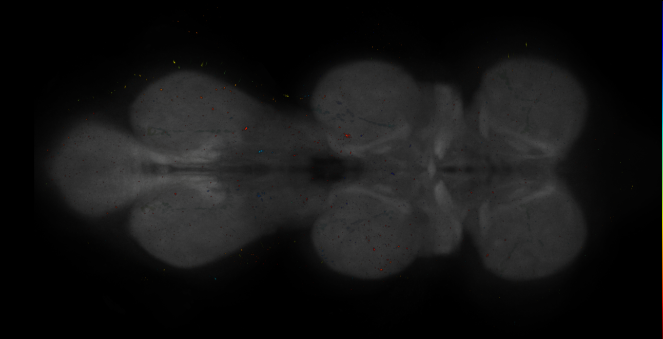 JRC_OL0042B_VNC_2020__1