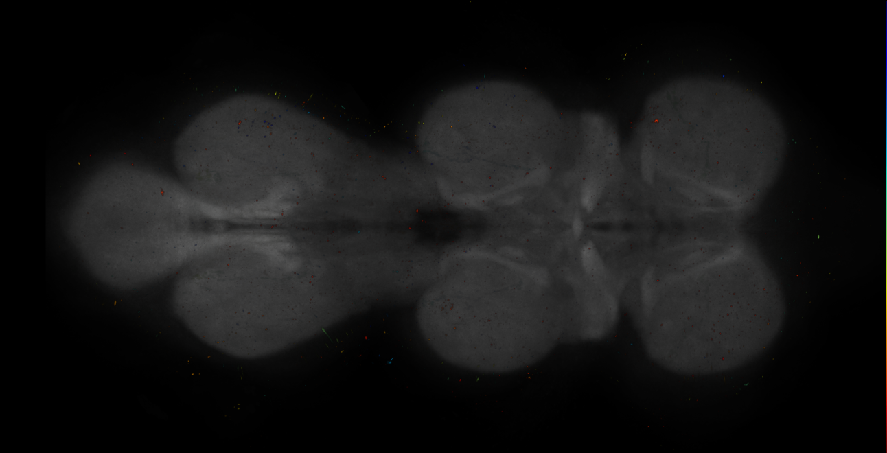 JRC_OL0044B_VNC_2020__1