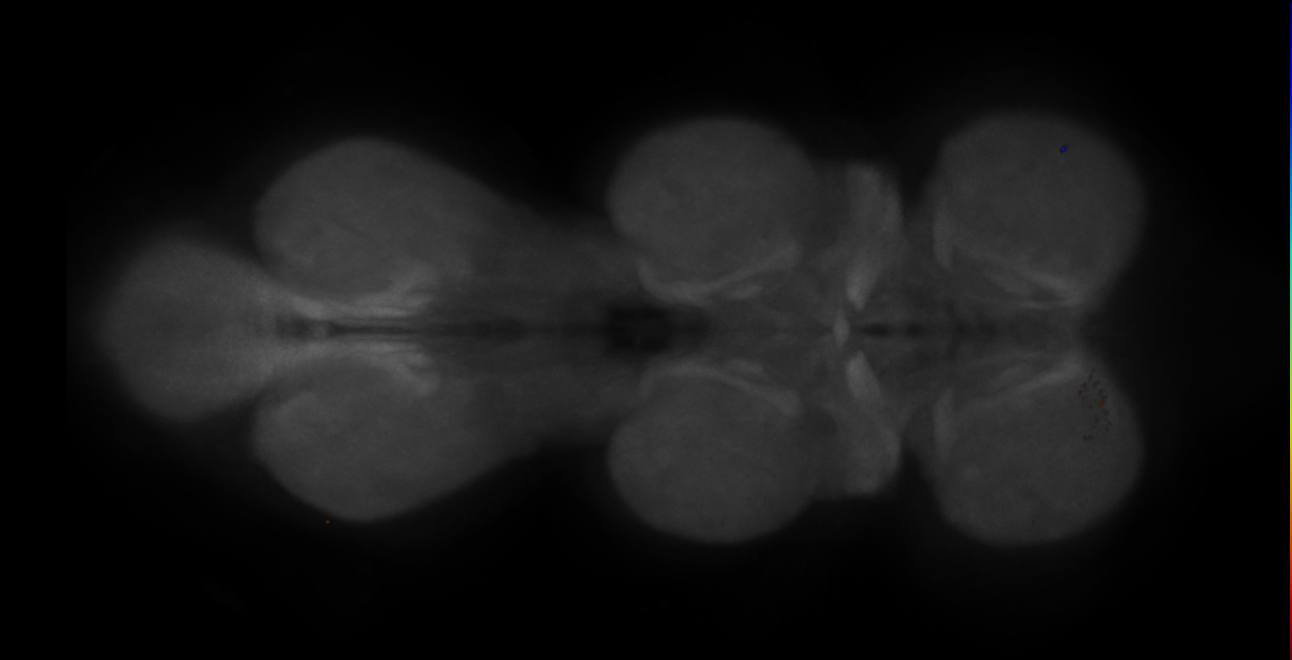 JRC_OL0004B_VNC_2020__1