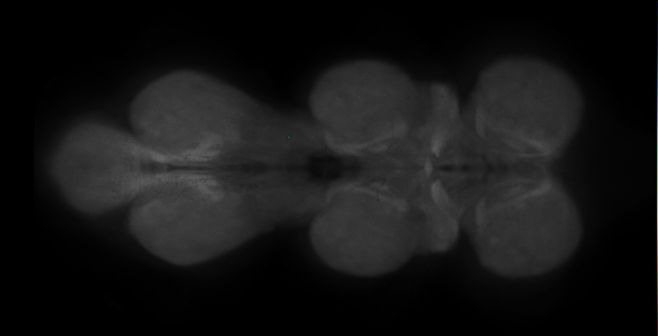 JRC_OL0007B_VNC_2020__1