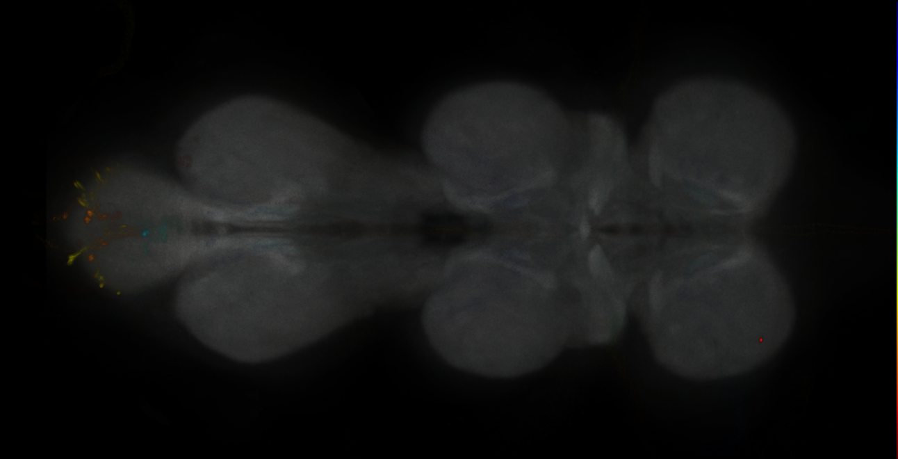 JRC_MB308B_VNC_2020__1