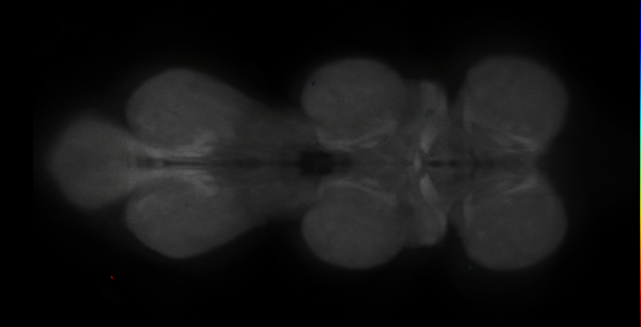 JRC_MB594B_VNC_2020__1