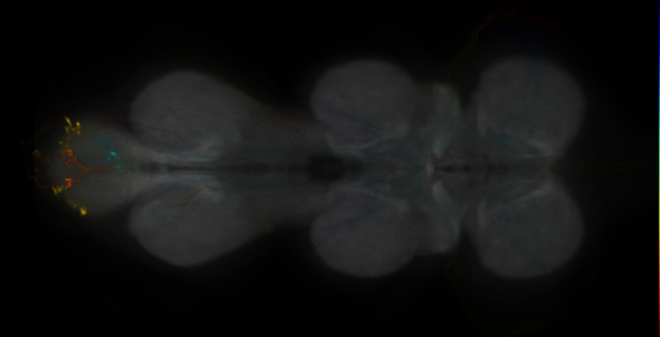 JRC_MB027B_VNC_2020__1