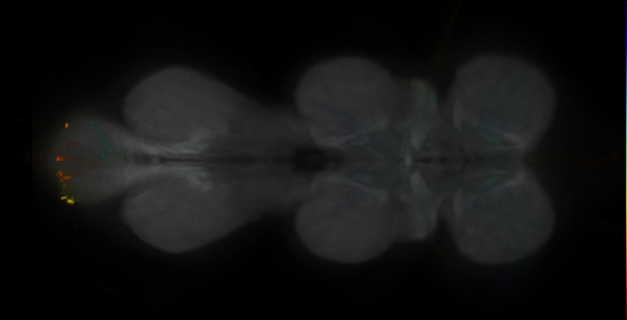 JRC_MB027B_VNC_2020__2