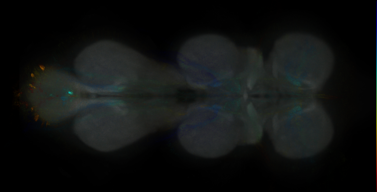 JRC_MB027B_VNC_2020__3