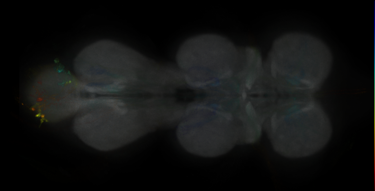 JRC_MB027B_VNC_2020__5