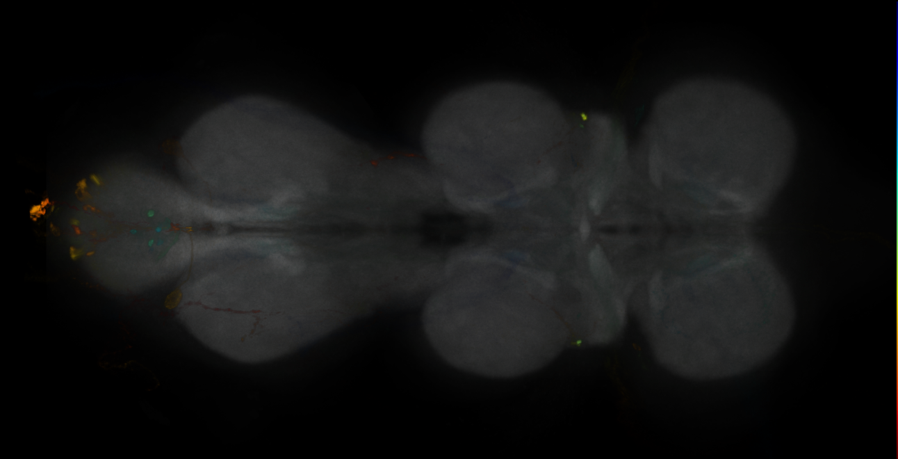JRC_MB543B_VNC_2020__1