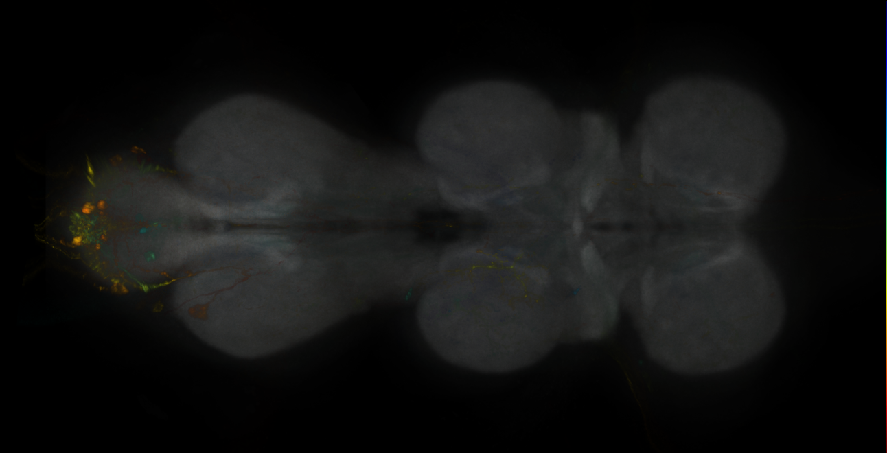 JRC_MB131B_VNC_2020__1