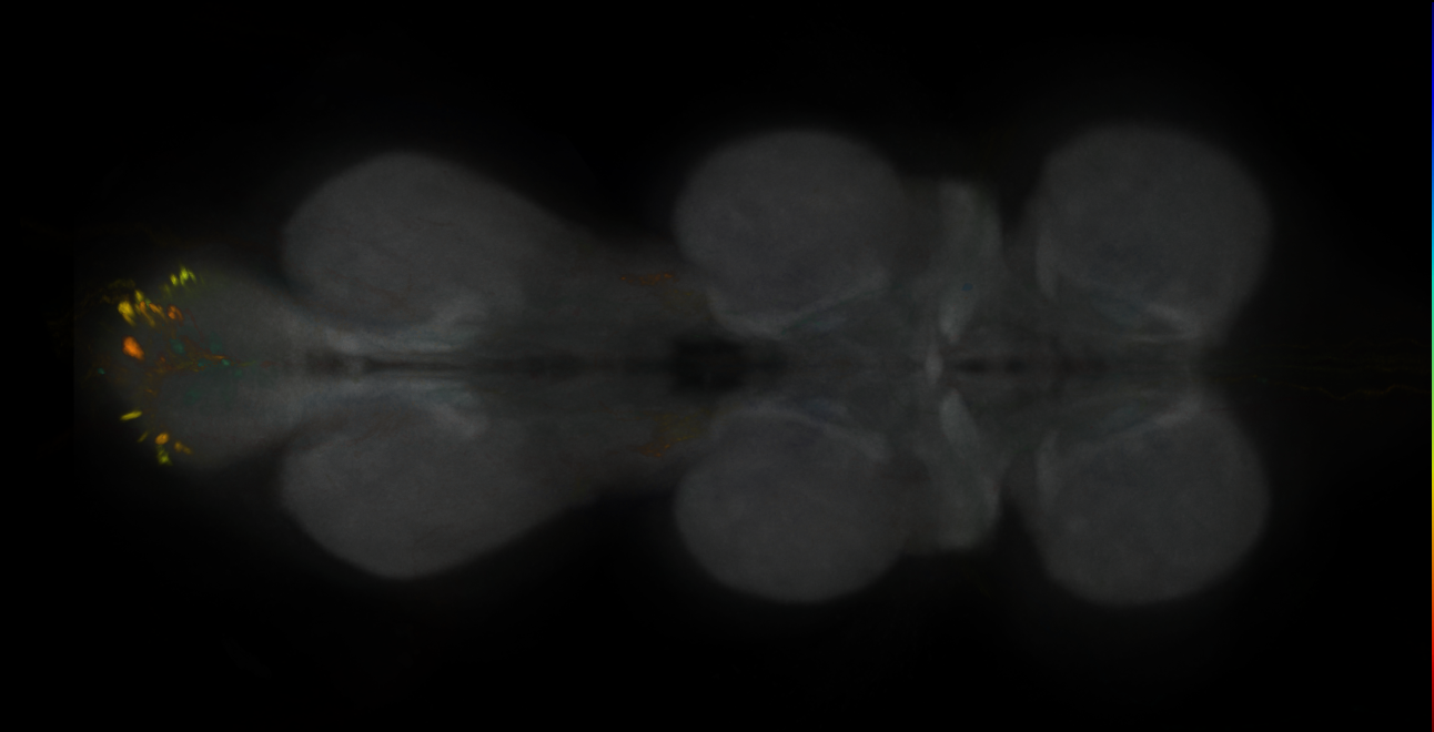 JRC_MB418B_VNC_2020__1