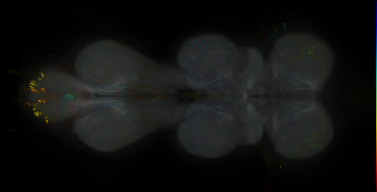 JRC_MB371B_VNC_2020__1
