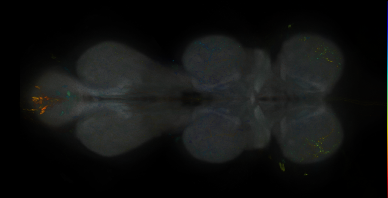 JRC_MB371B_VNC_2020__2