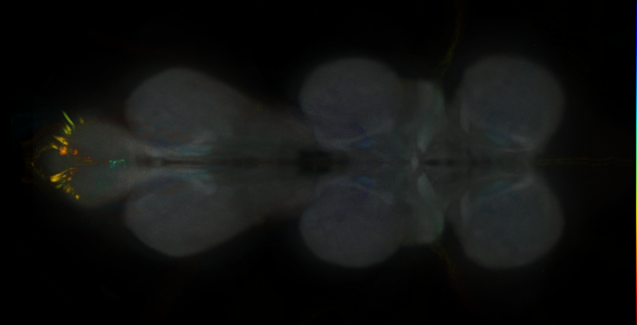 JRC_MB477B_VNC_2020__2